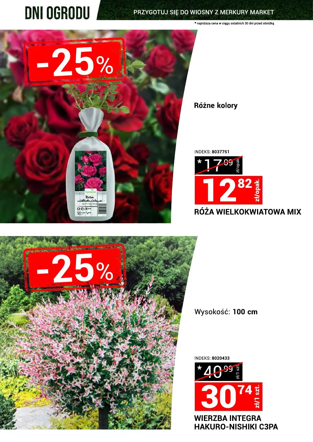 gazetka promocyjna Merkury Market Dni ogrodu - Strona 6