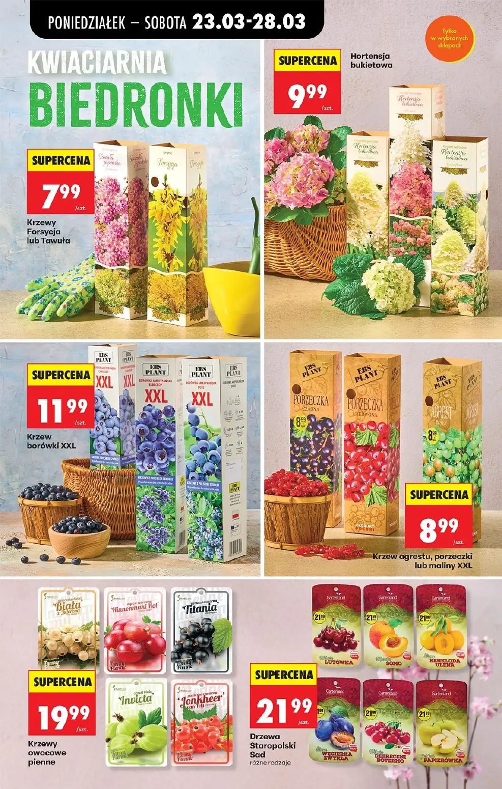 gazetka promocyjna Biedronka Od poniedziałku - Strona 14