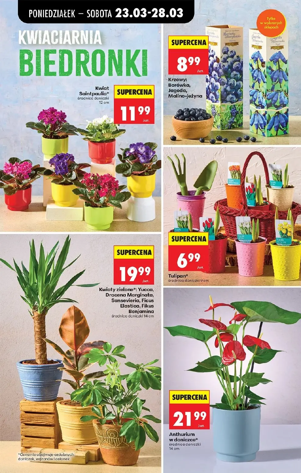 gazetka promocyjna Biedronka Od poniedziałku - Strona 15