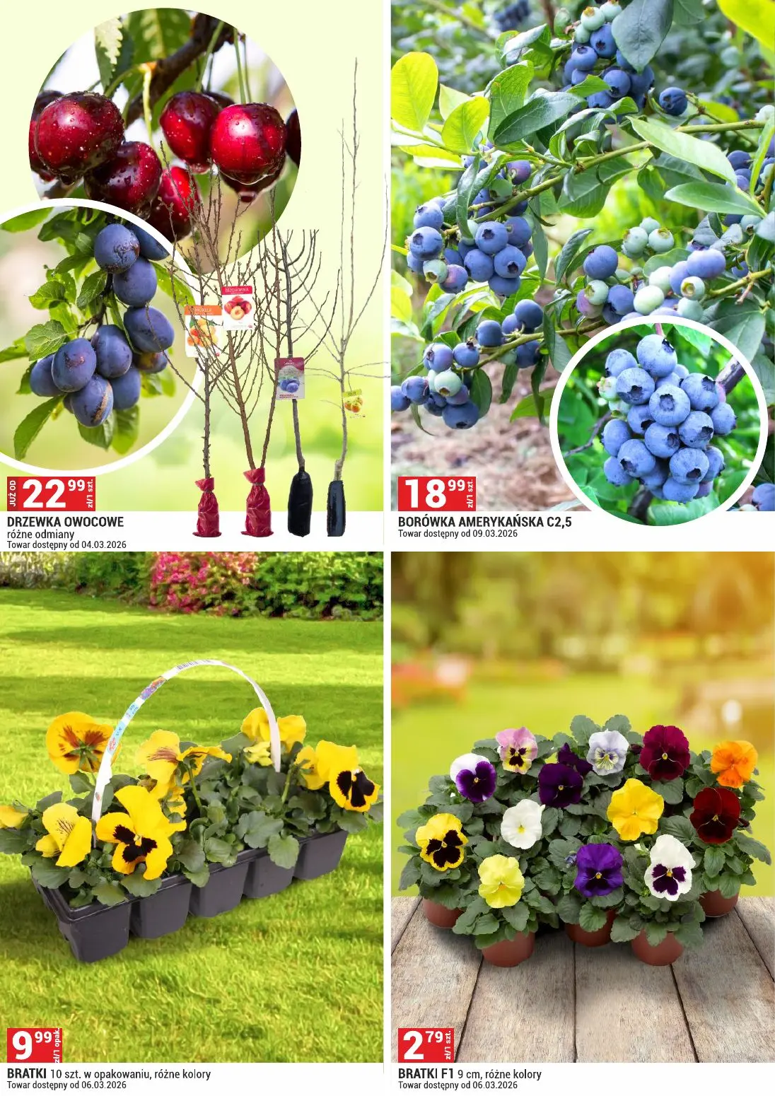 gazetka promocyjna Merkury Market Urządź swój ogród - Strona 4