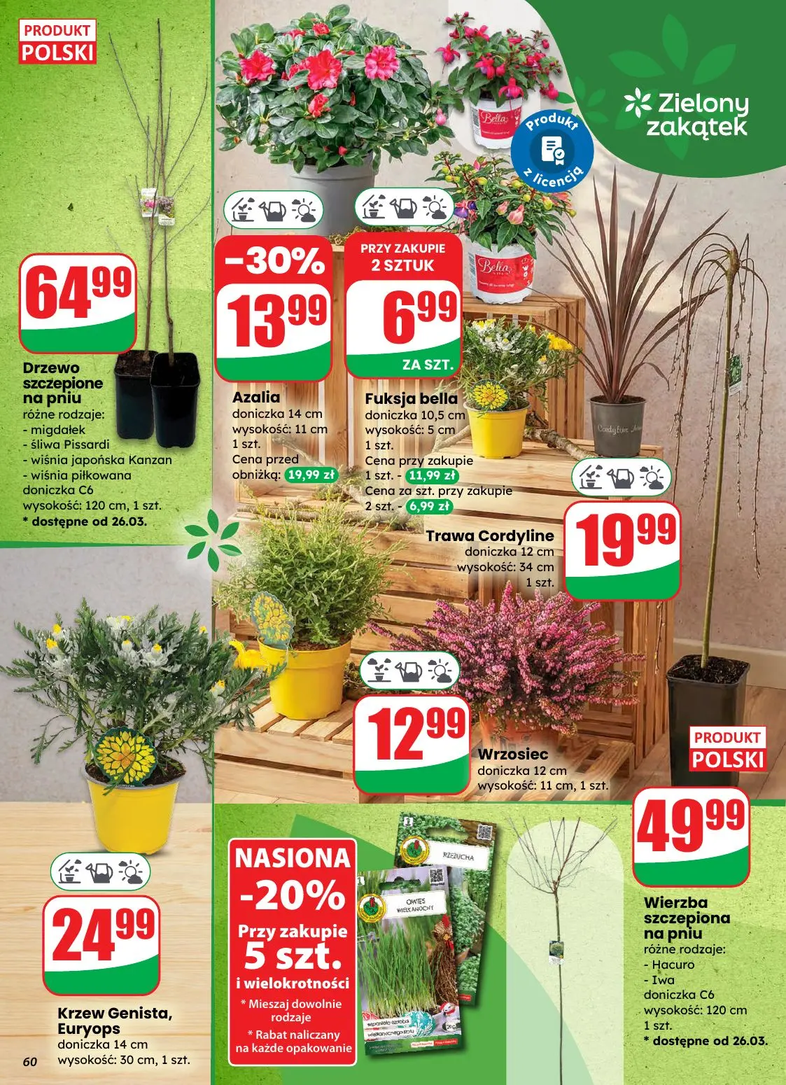 gazetka promocyjna dino Najbliżej Ciebie - Strona 60