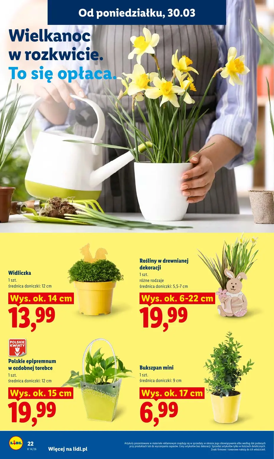gazetka promocyjna LIDL Od poniedziałku  - Strona 22
