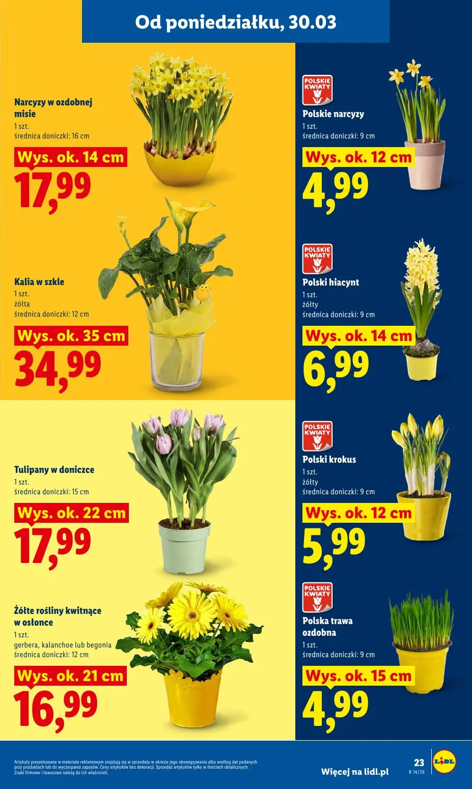 gazetka promocyjna LIDL Od poniedziałku  - Strona 23