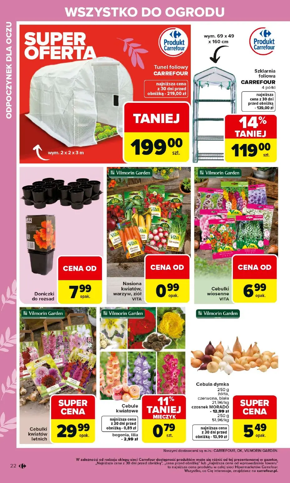 gazetka promocyjna Carrefour Ogród - Strona 22