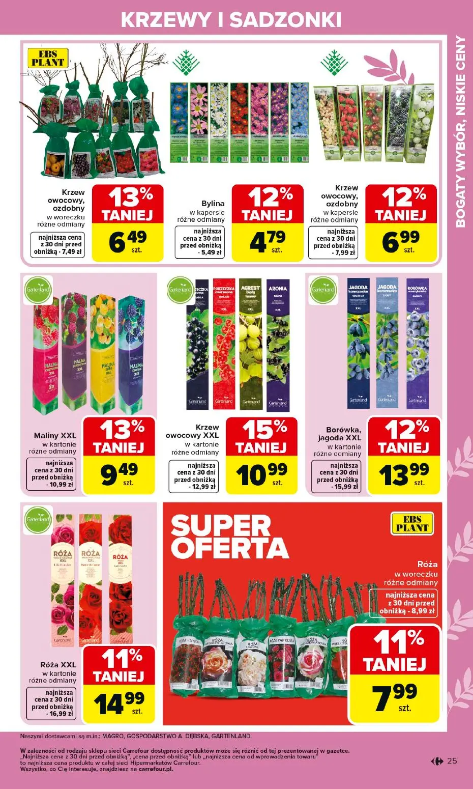 gazetka promocyjna Carrefour Ogród - Strona 25