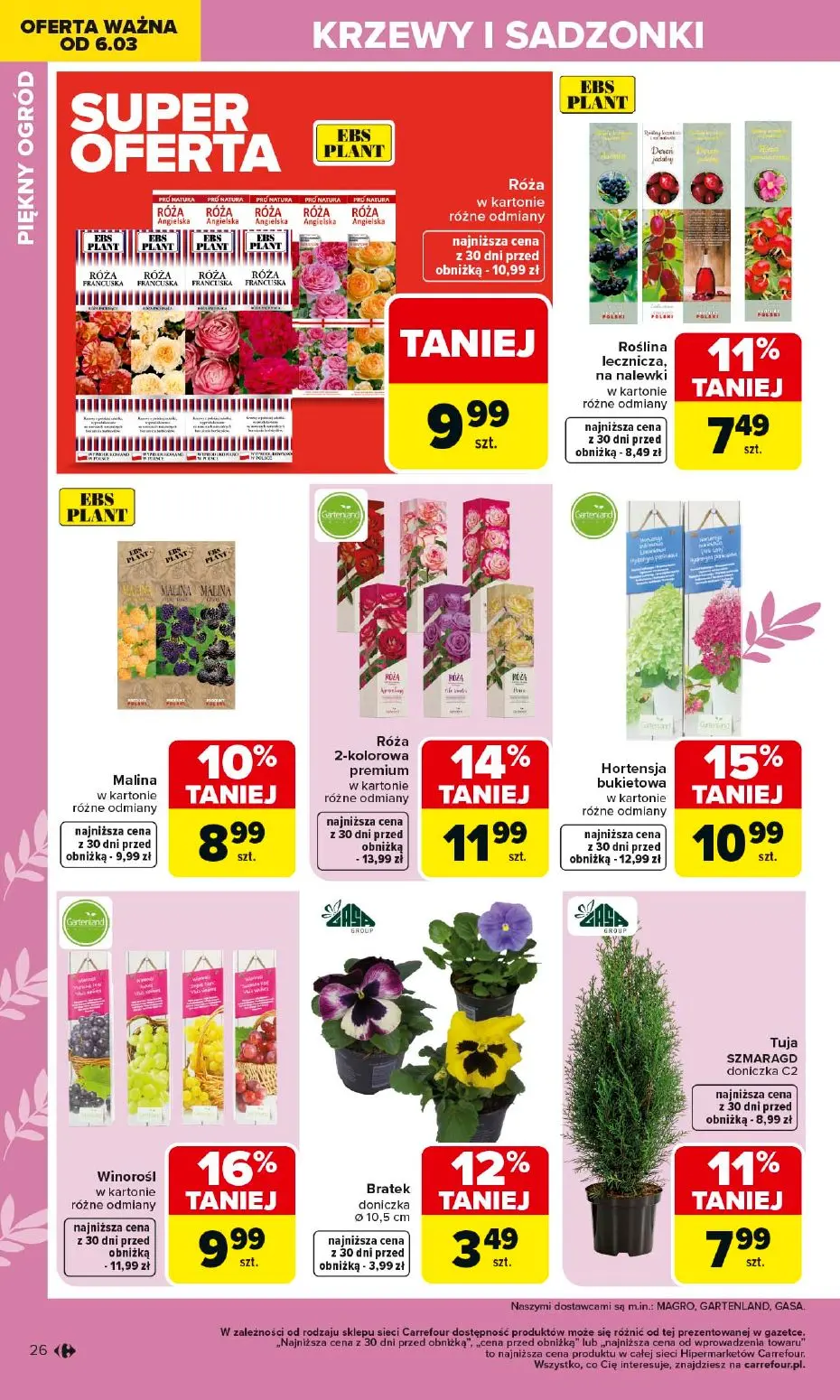gazetka promocyjna Carrefour Ogród - Strona 26