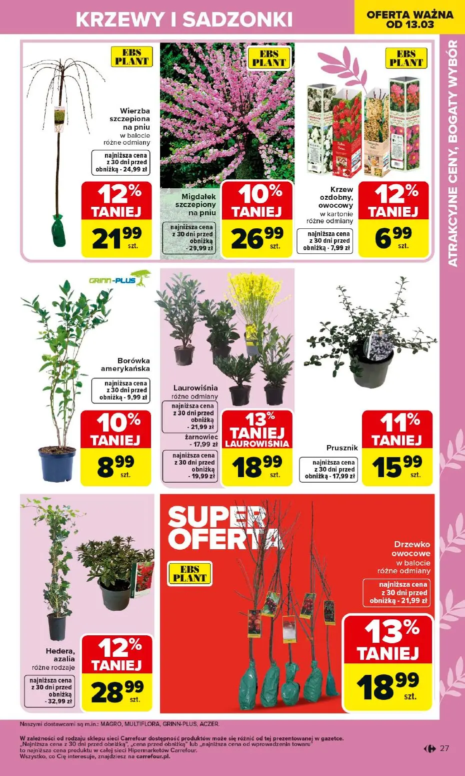 gazetka promocyjna Carrefour Ogród - Strona 27