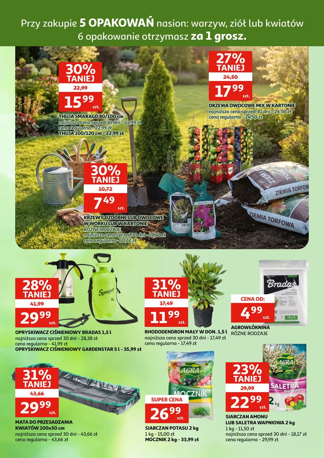gazetka promocyjna Auchan Zielona Góra - Twój ogród - Strona 12