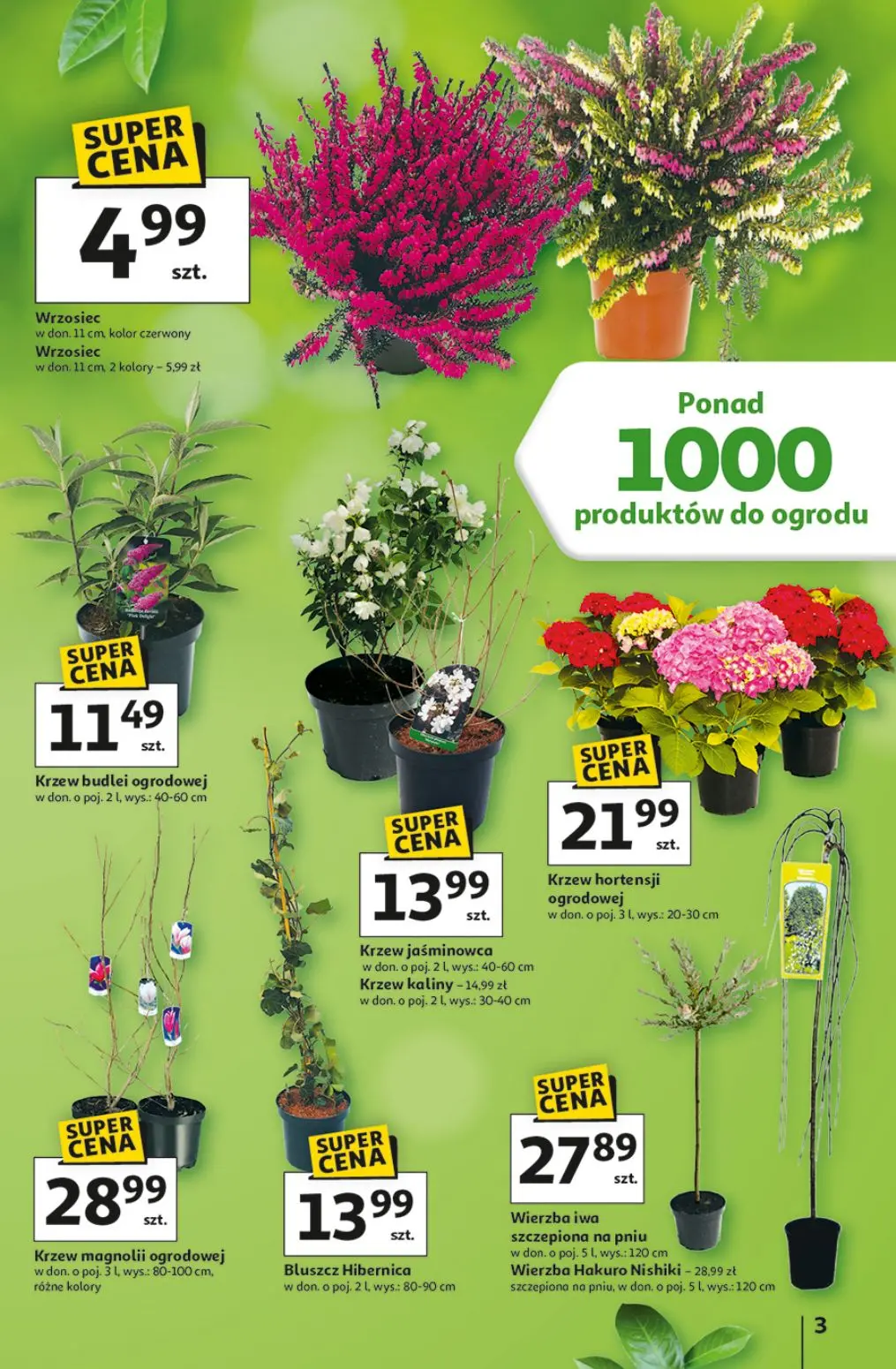 gazetka promocyjna Auchan Strefa ogród - Strona 3