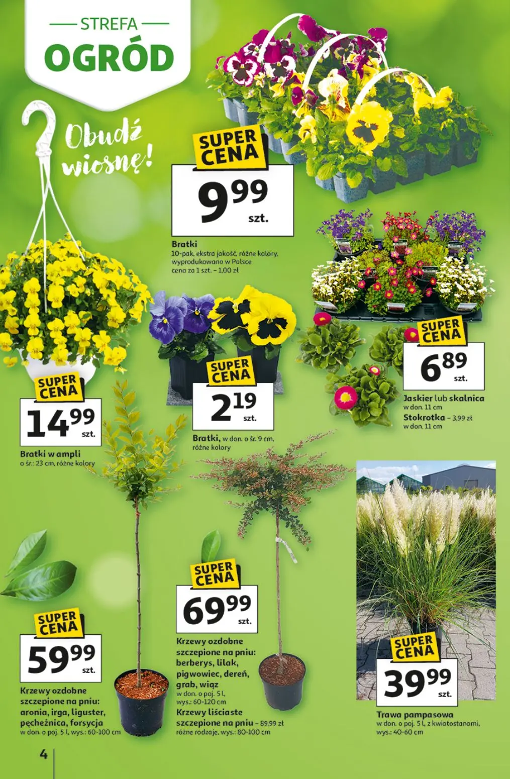 gazetka promocyjna Auchan Strefa ogród - Strona 4