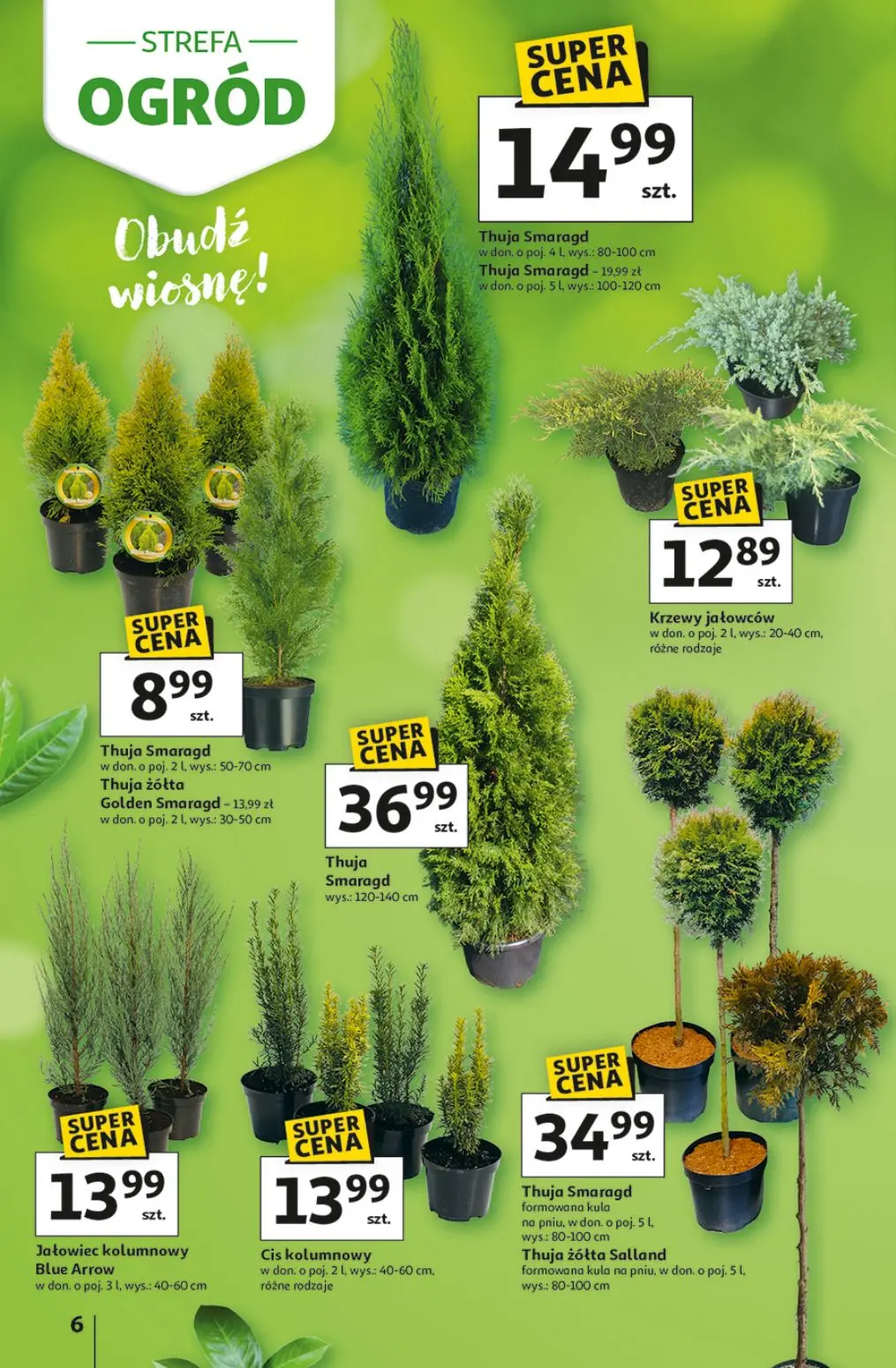 gazetka promocyjna Auchan Strefa ogród - Strona 6