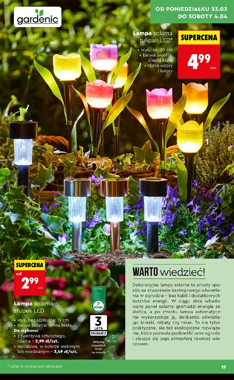 gazetka promocyjna Biedronka Hity i inspiracje do ogrodu - Strona 19