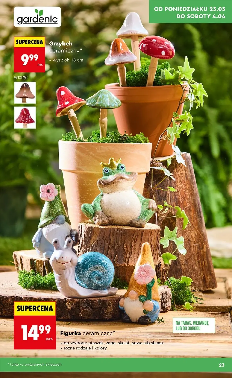 gazetka promocyjna Biedronka Hity i inspiracje do ogrodu - Strona 23