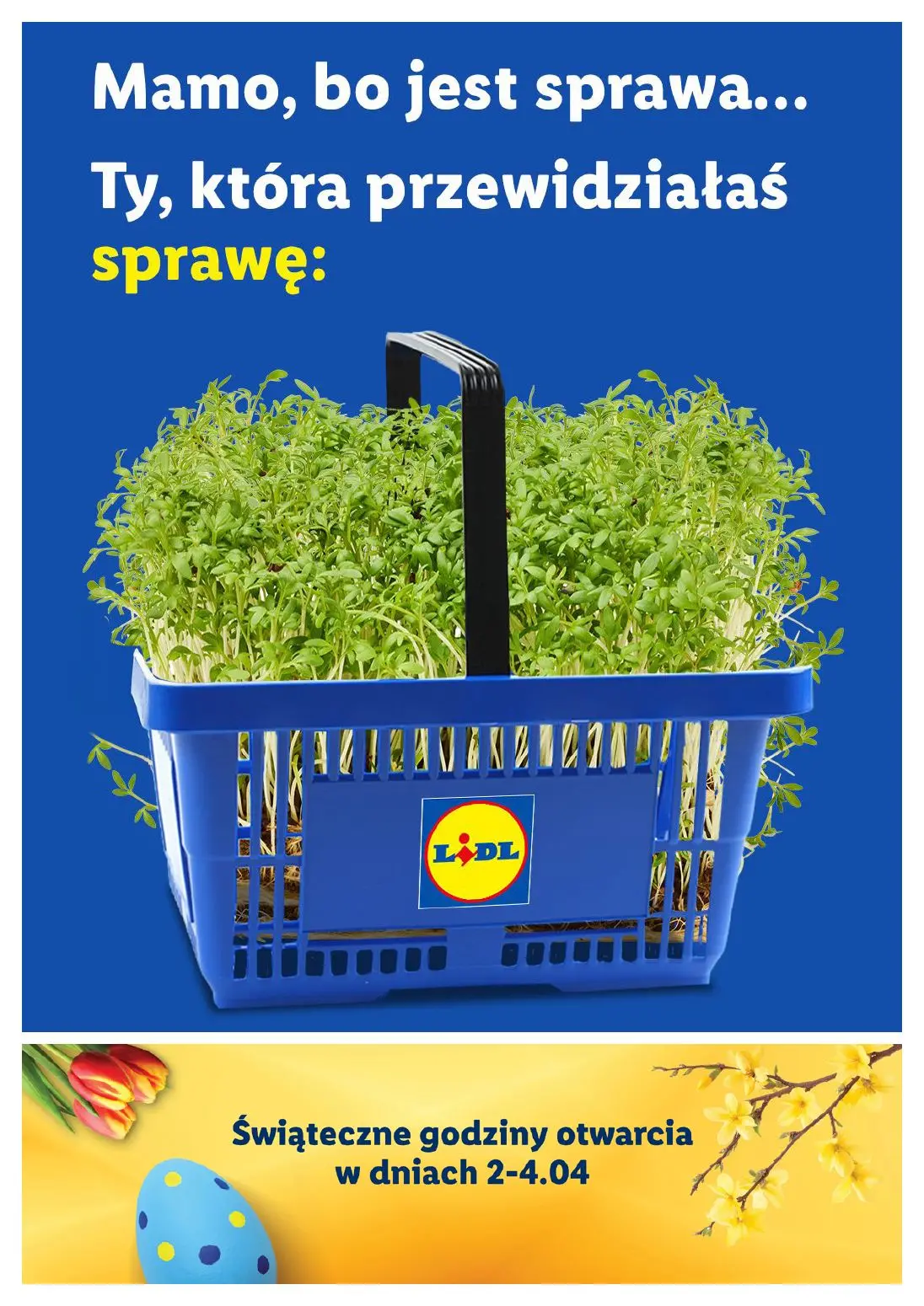 gazetka promocyjna LIDL Lidl plus. Skanujesz - To się opłaca - Strona 2