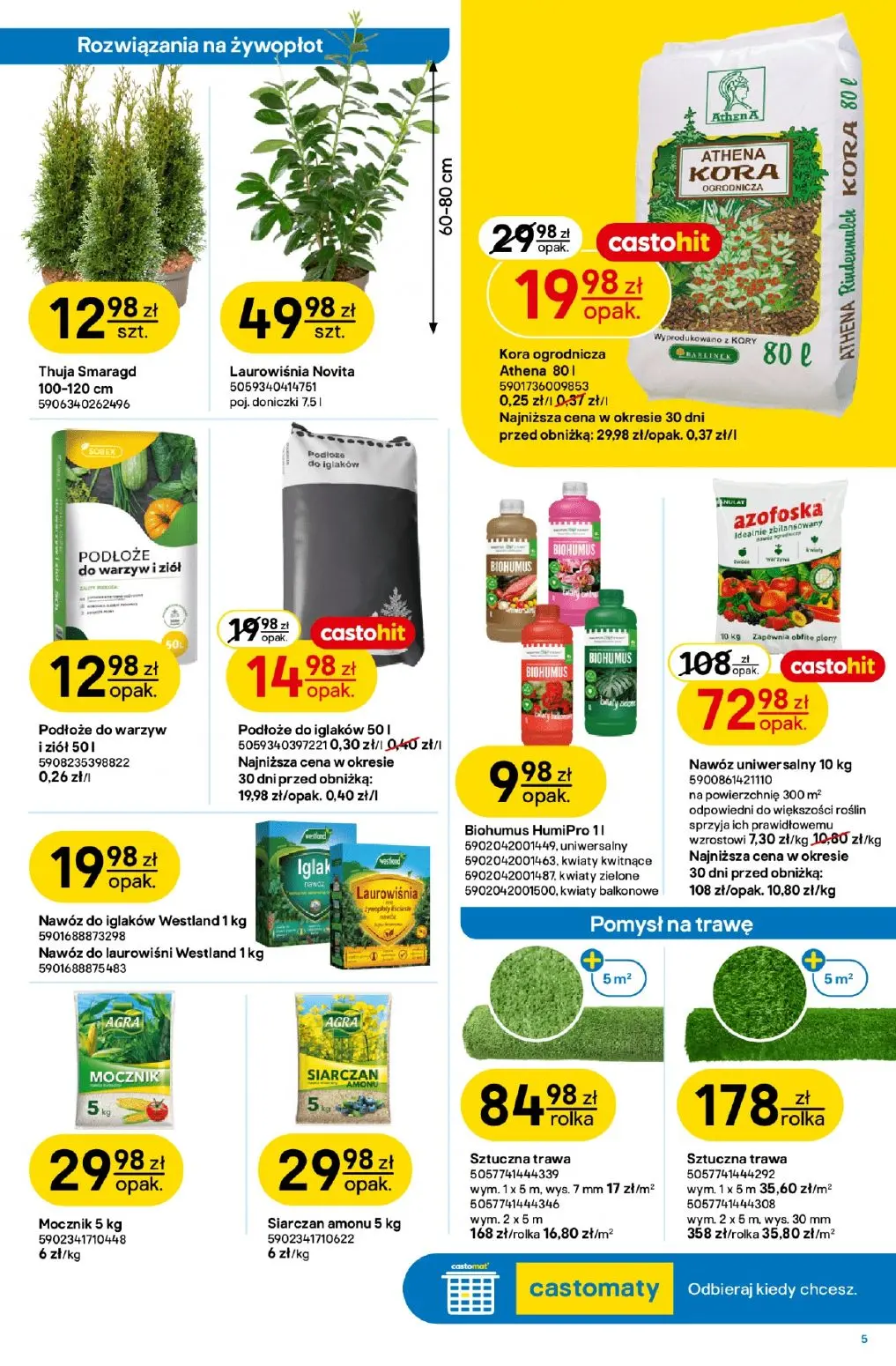 gazetka promocyjna castorama W teorii wiosenny ogród - Strona 6