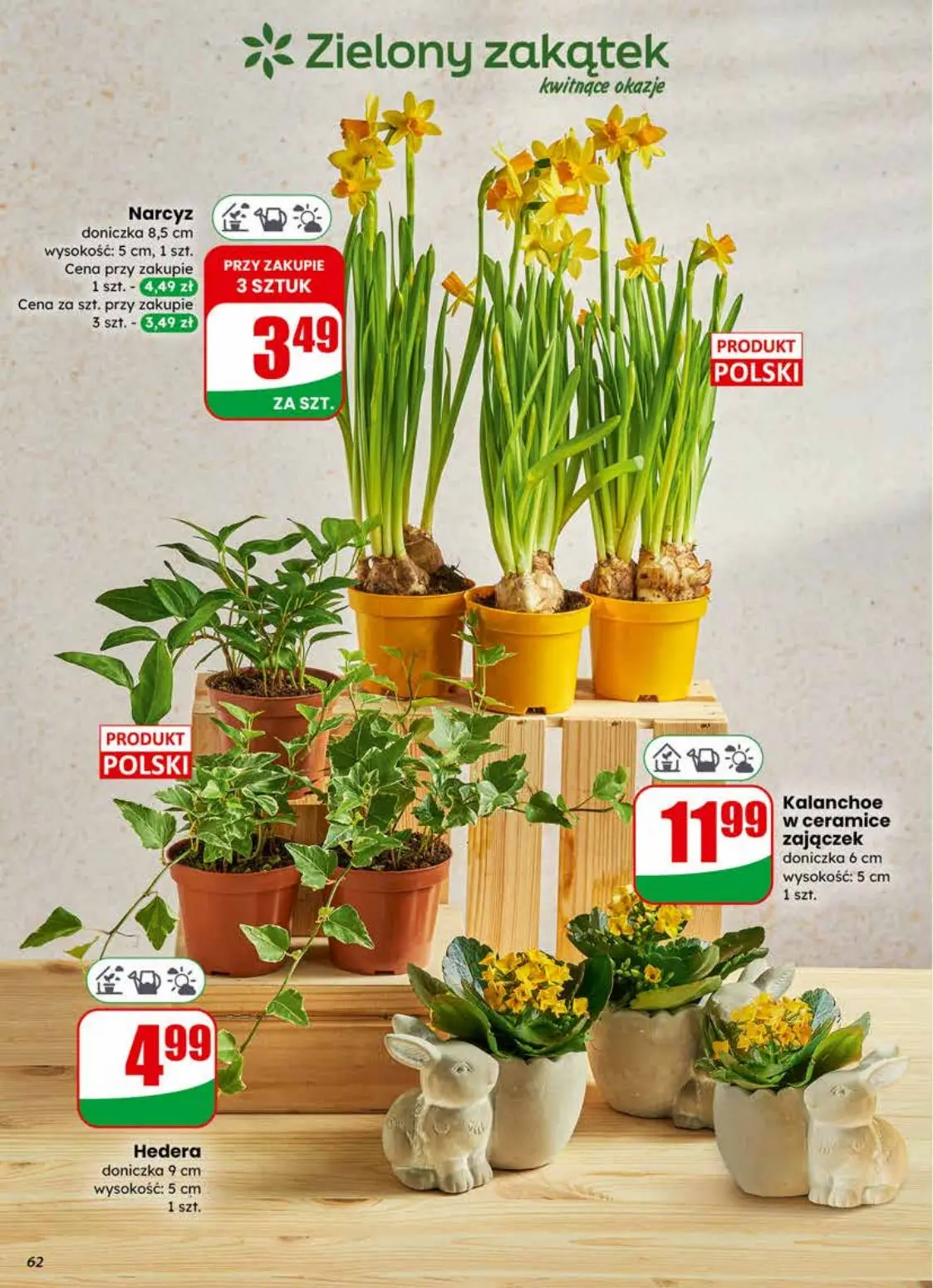 gazetka promocyjna dino Blisko Ciebie - Strona 62