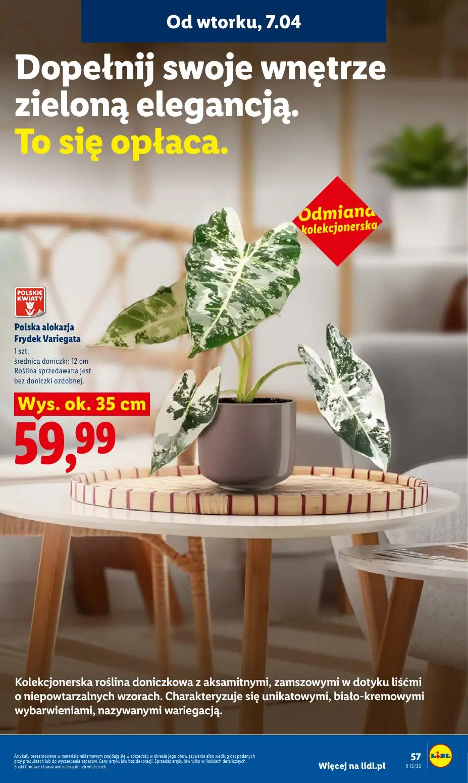 gazetka promocyjna LIDL Od wtorku - Strona 59