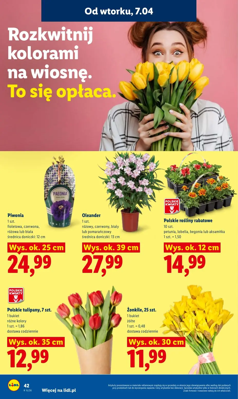 gazetka promocyjna LIDL Od wtorku - Strona 46