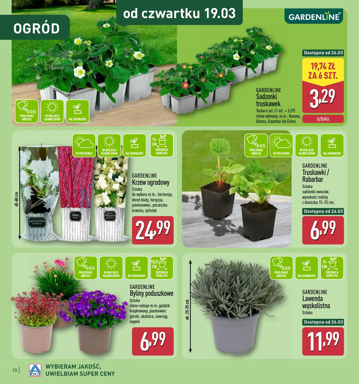 gazetka promocyjna ALDI Katalog OGRÓD 🌷 - Strona 10