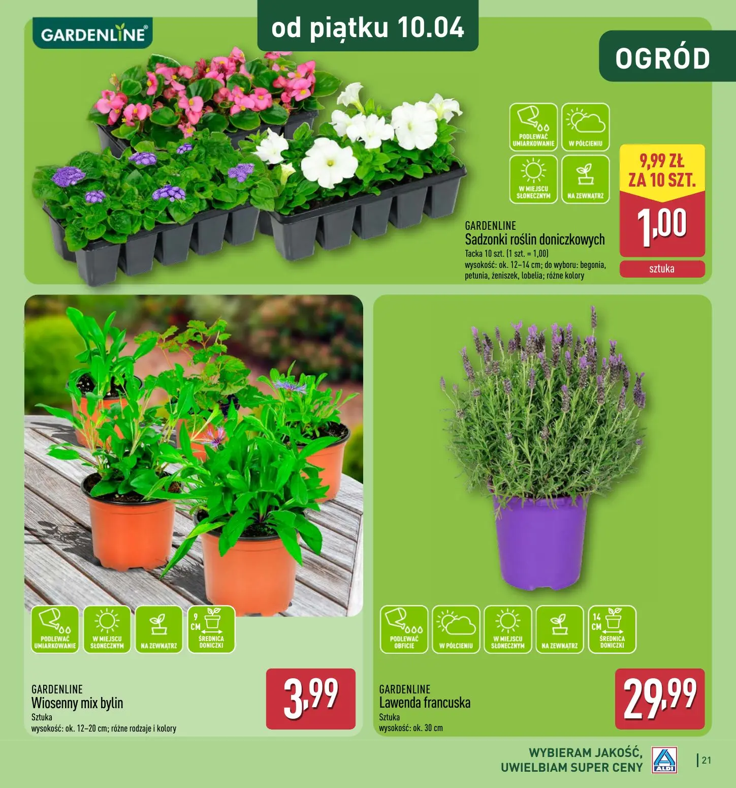 gazetka promocyjna ALDI Katalog OGRÓD 🌷 - Strona 21