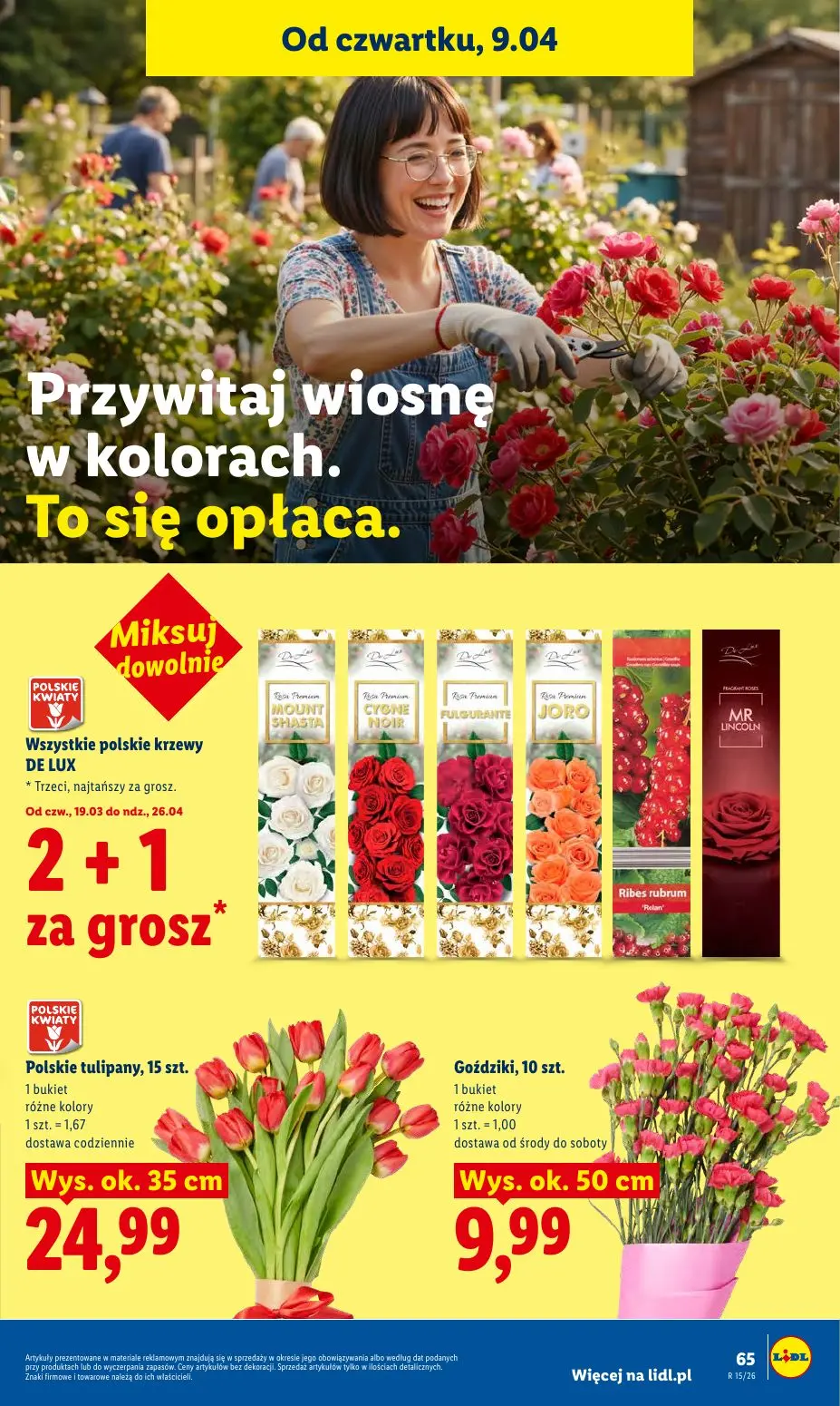gazetka promocyjna LIDL Od czwartku - Strona 65