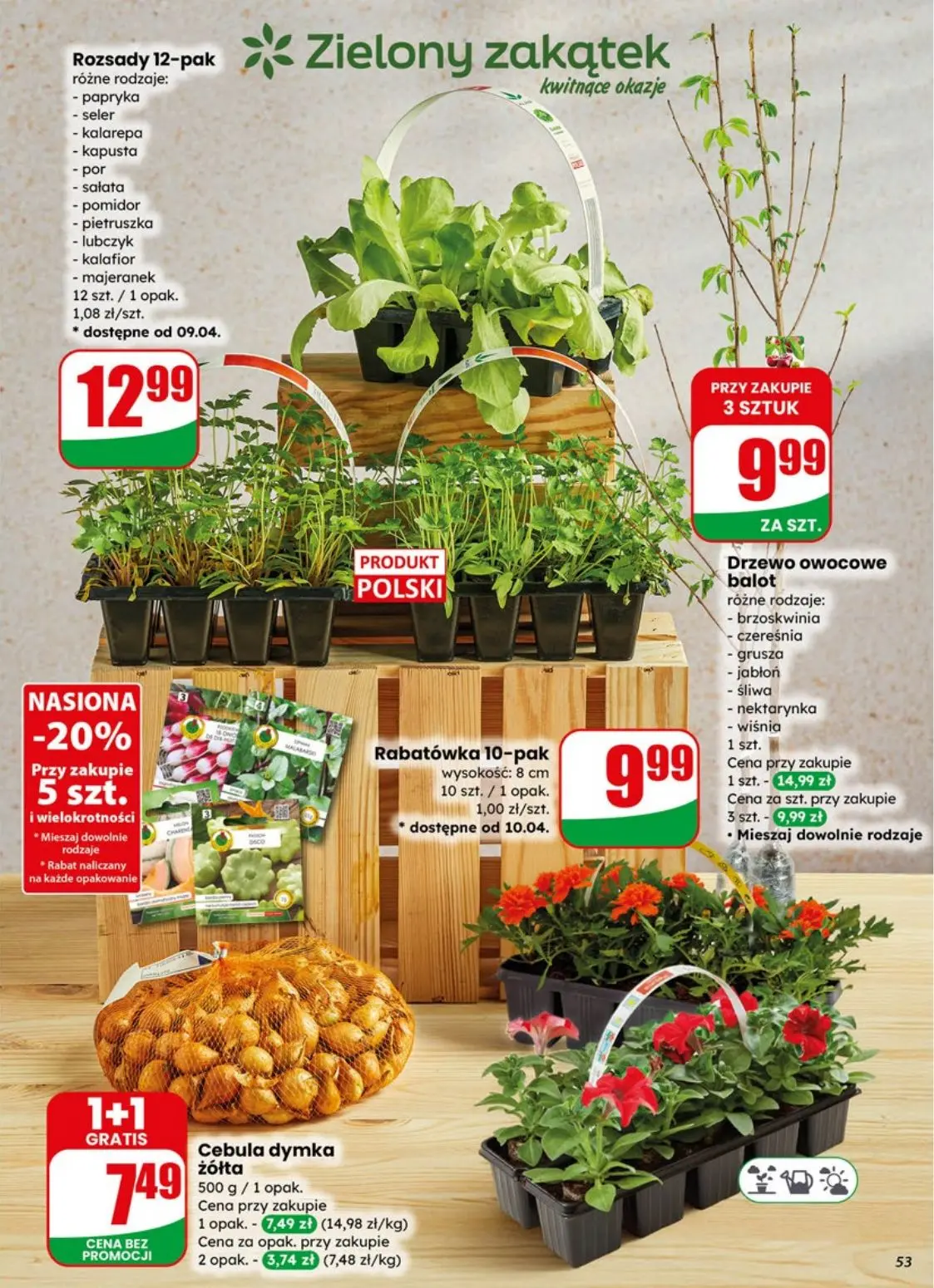 gazetka promocyjna dino Najbliżej Ciebie - Strona 53