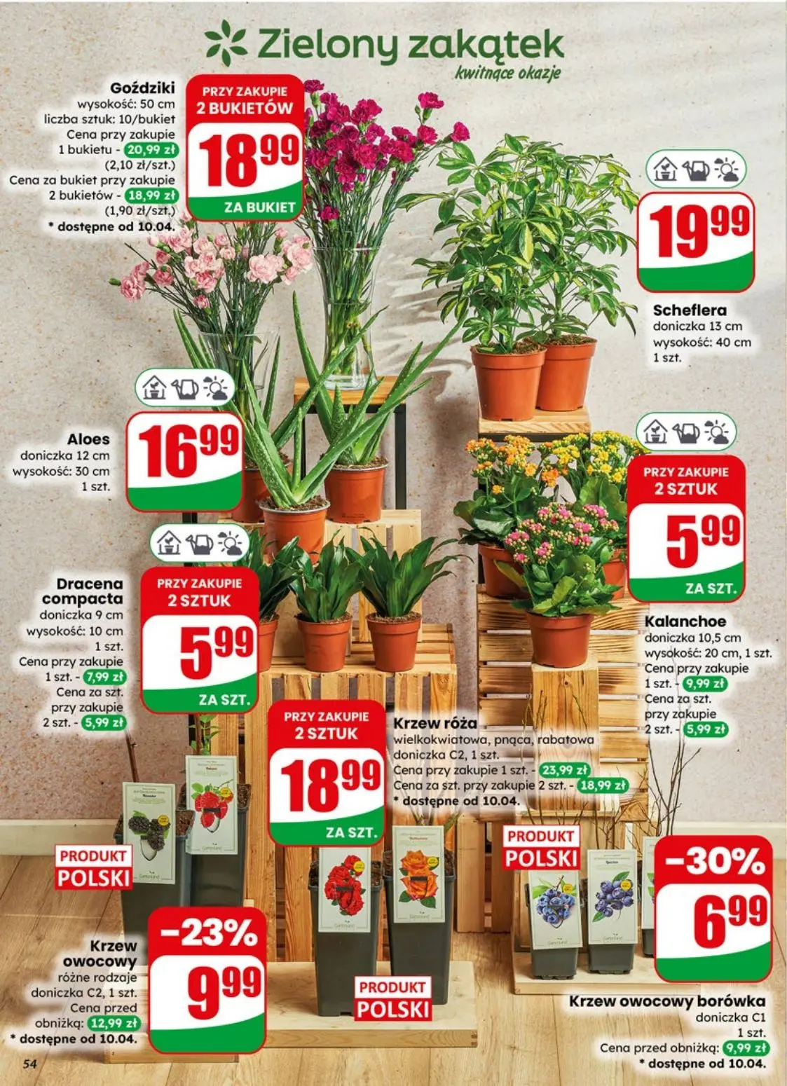 gazetka promocyjna dino Najbliżej Ciebie - Strona 54