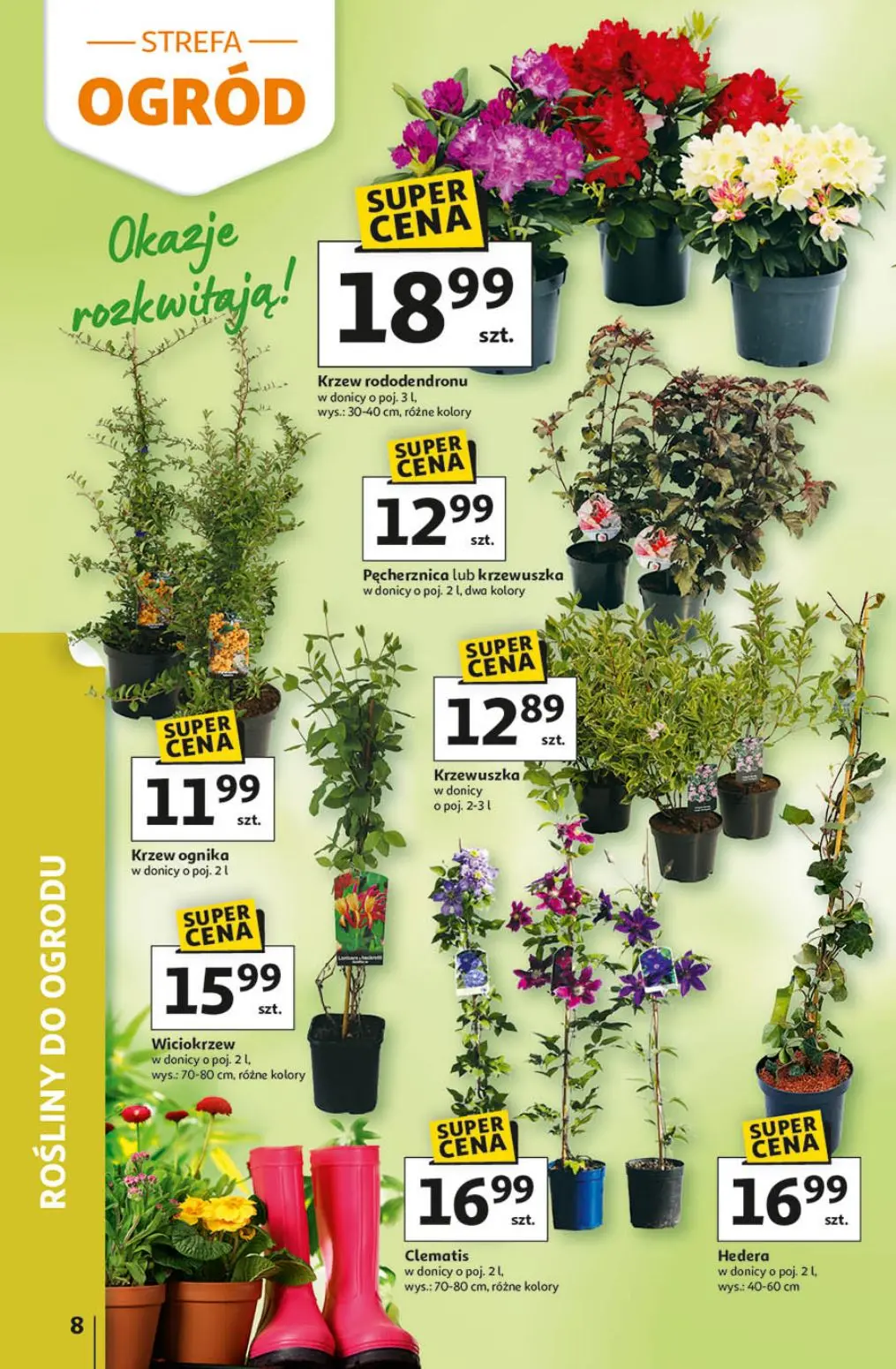 gazetka promocyjna Auchan Strefa ogród - Strona 8