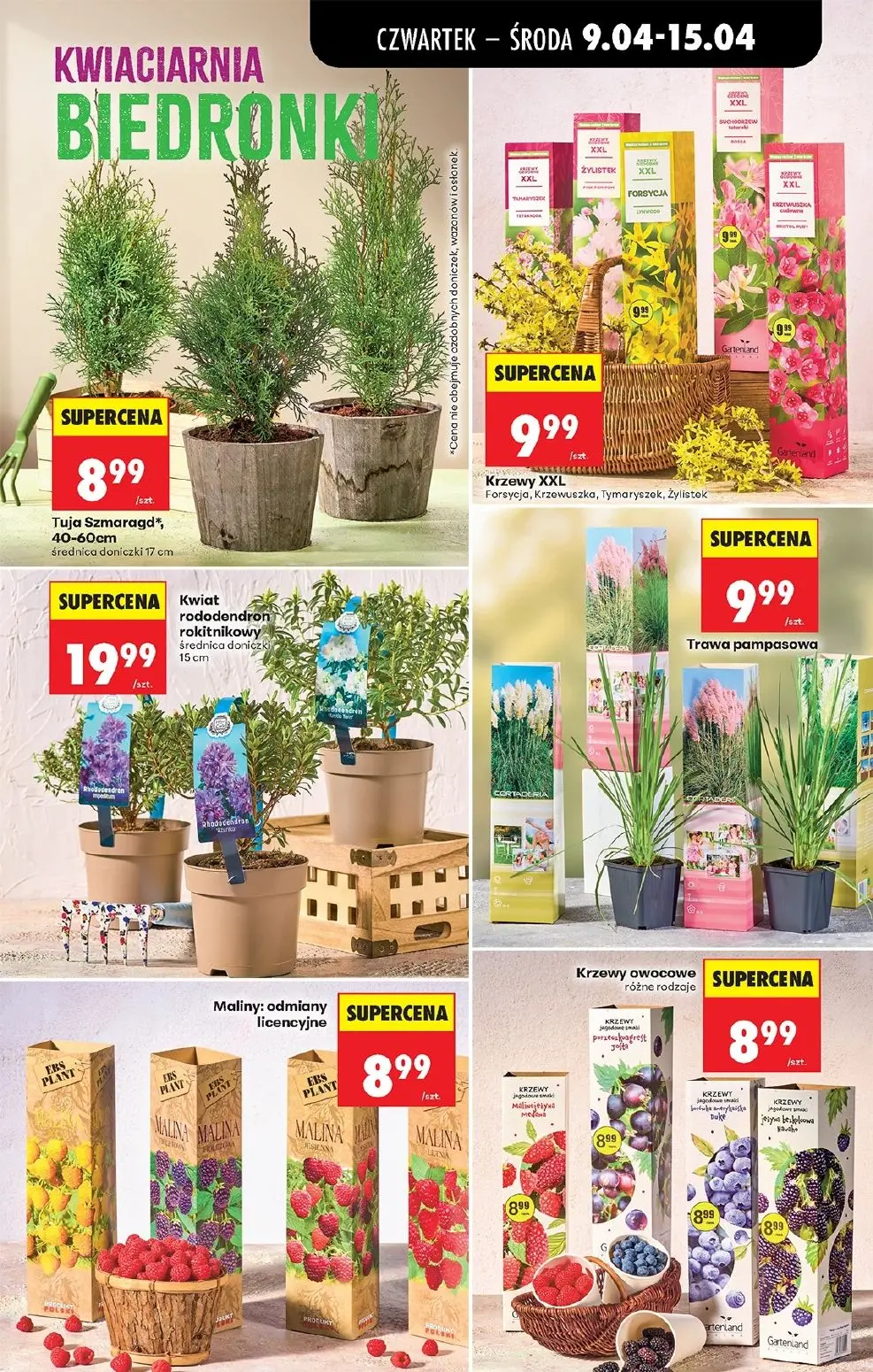 gazetka promocyjna Biedronka Od czwartku - Strona 83