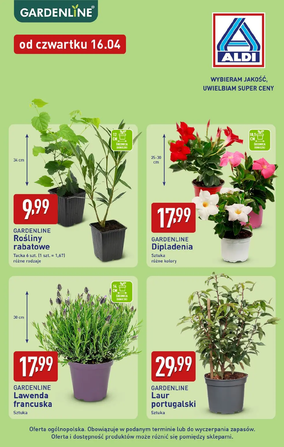 gazetka promocyjna ALDI Rośliny ogrodowe 🌳 - Strona 2
