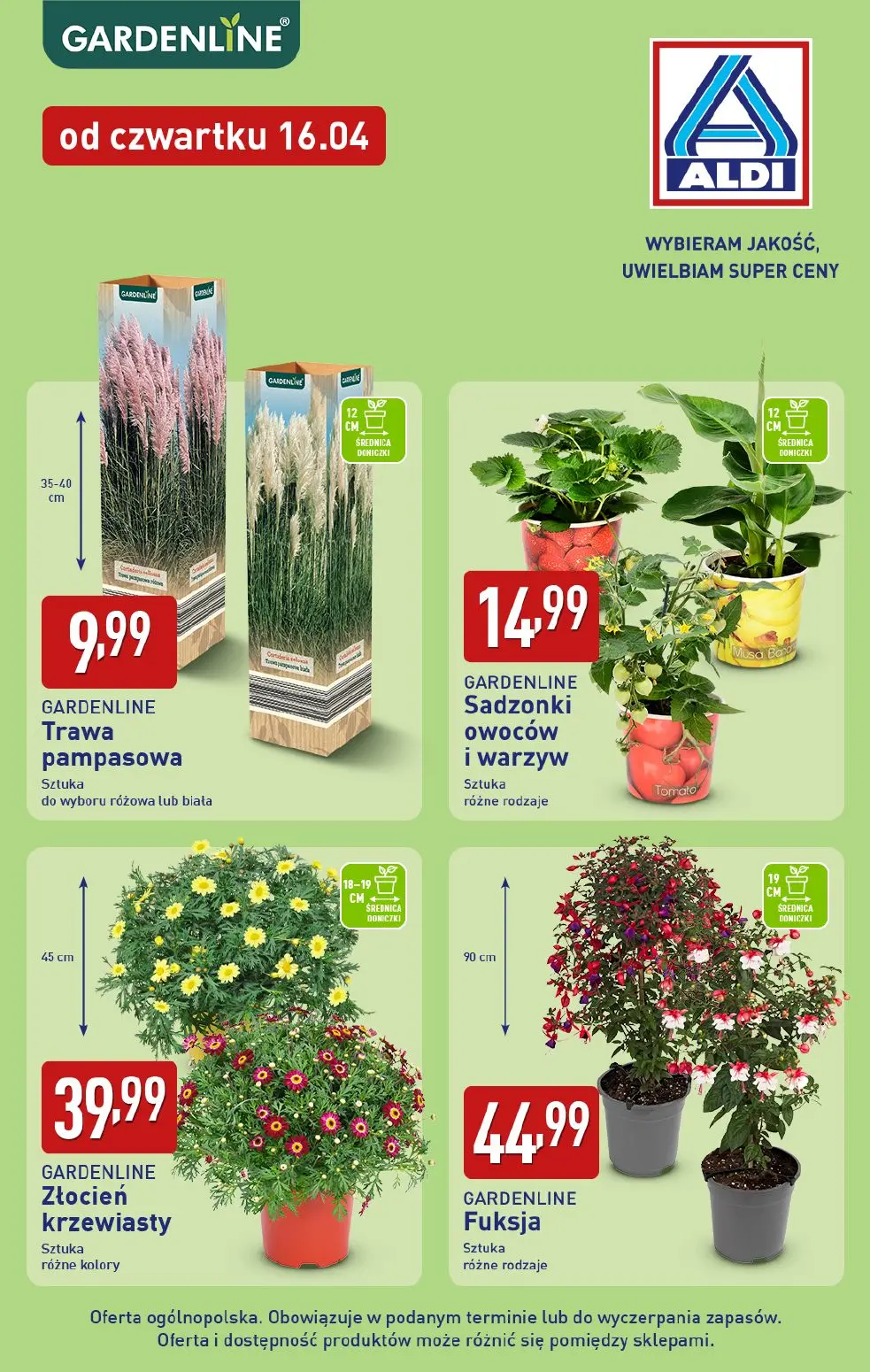 gazetka promocyjna ALDI Rośliny ogrodowe 🌳 - Strona 3