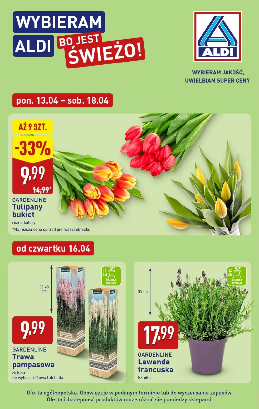 gazetka promocyjna ALDI Wybieram ALDI, bo jest tanio - Strona 6
