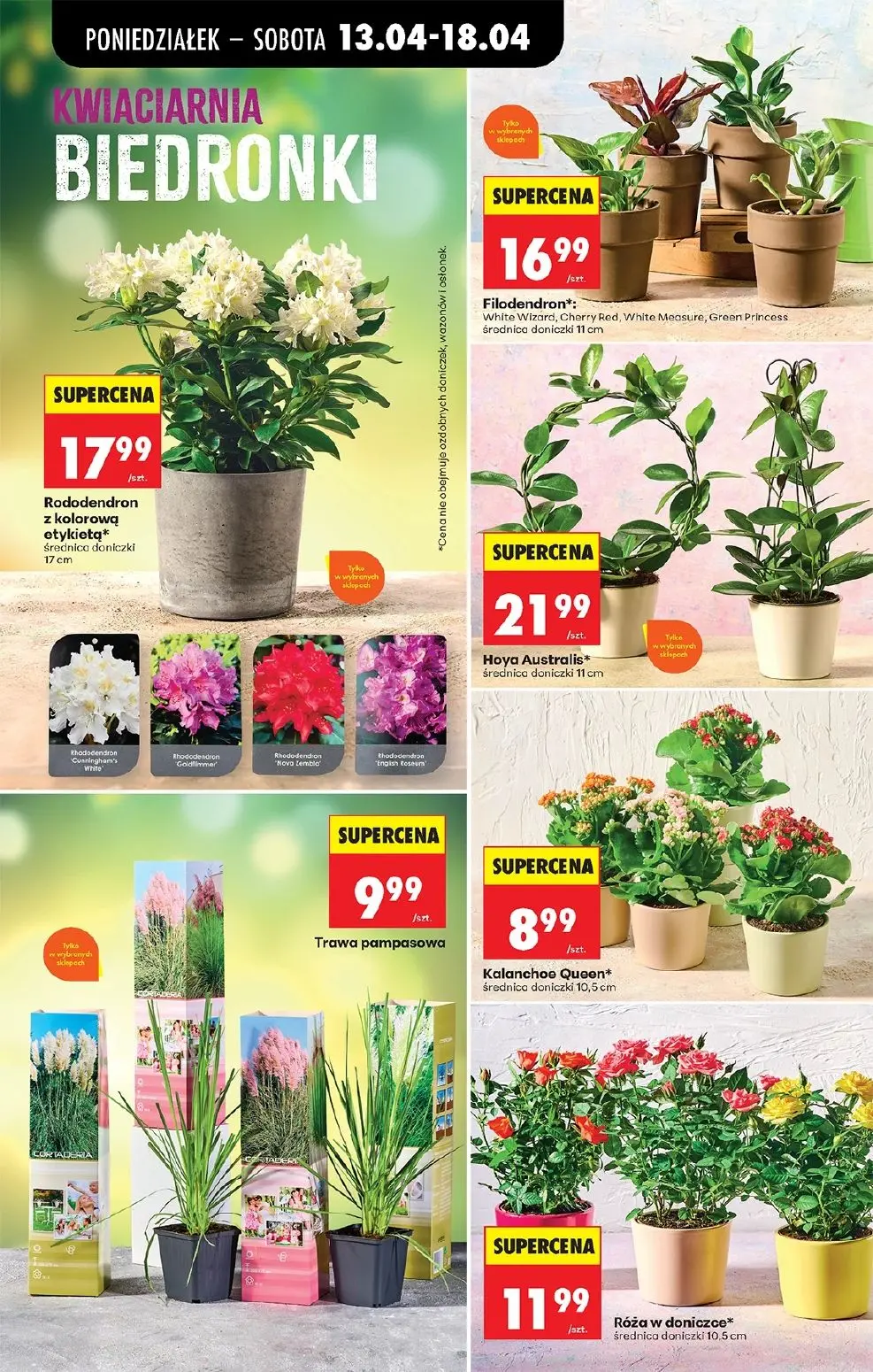 gazetka promocyjna Biedronka Od poniedziałku  - Strona 83