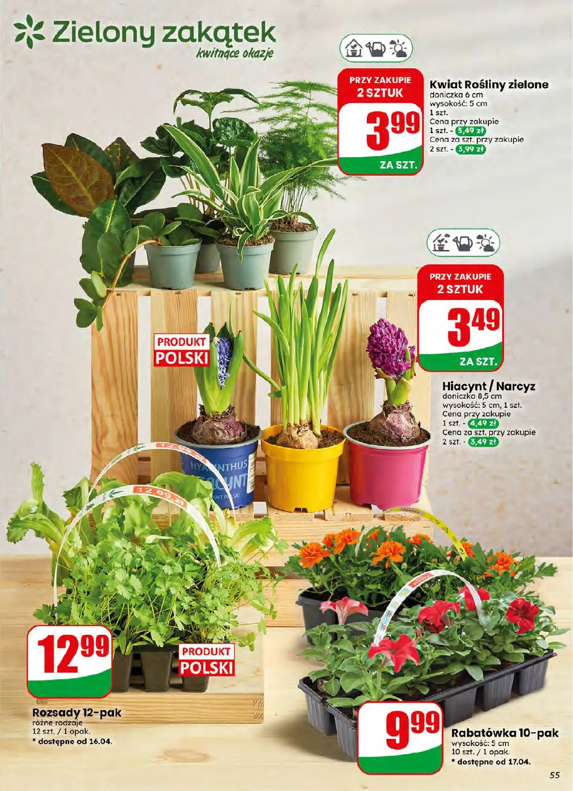 gazetka promocyjna dino Najbliżej Ciebie - Strona 55