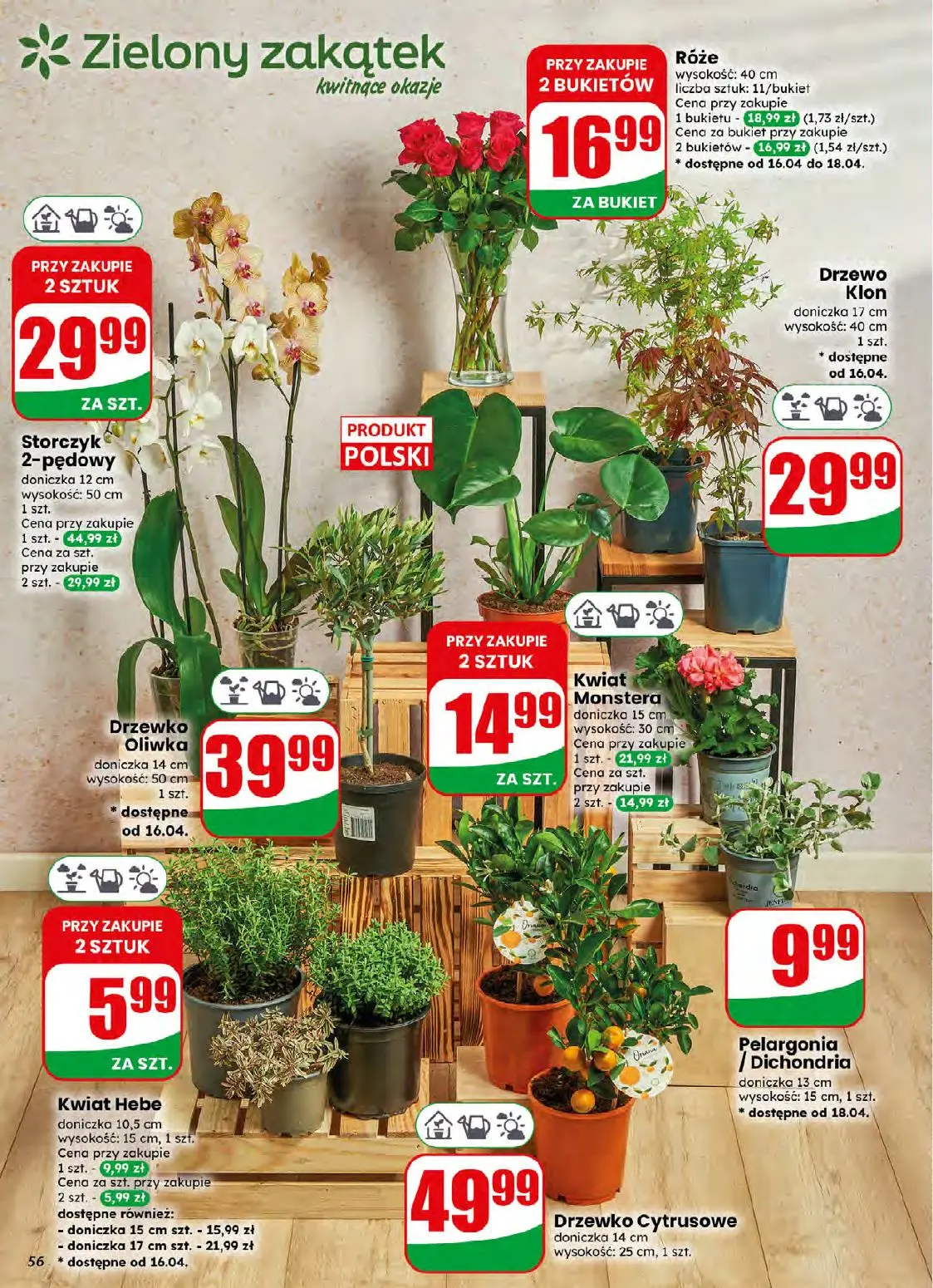 gazetka promocyjna dino Najbliżej Ciebie - Strona 56