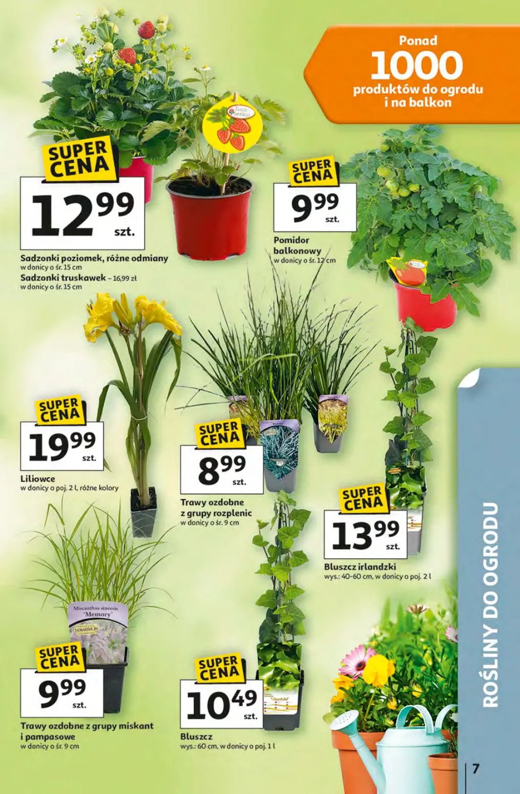 gazetka promocyjna Auchan Okazje rozkwitają! - Strona 7
