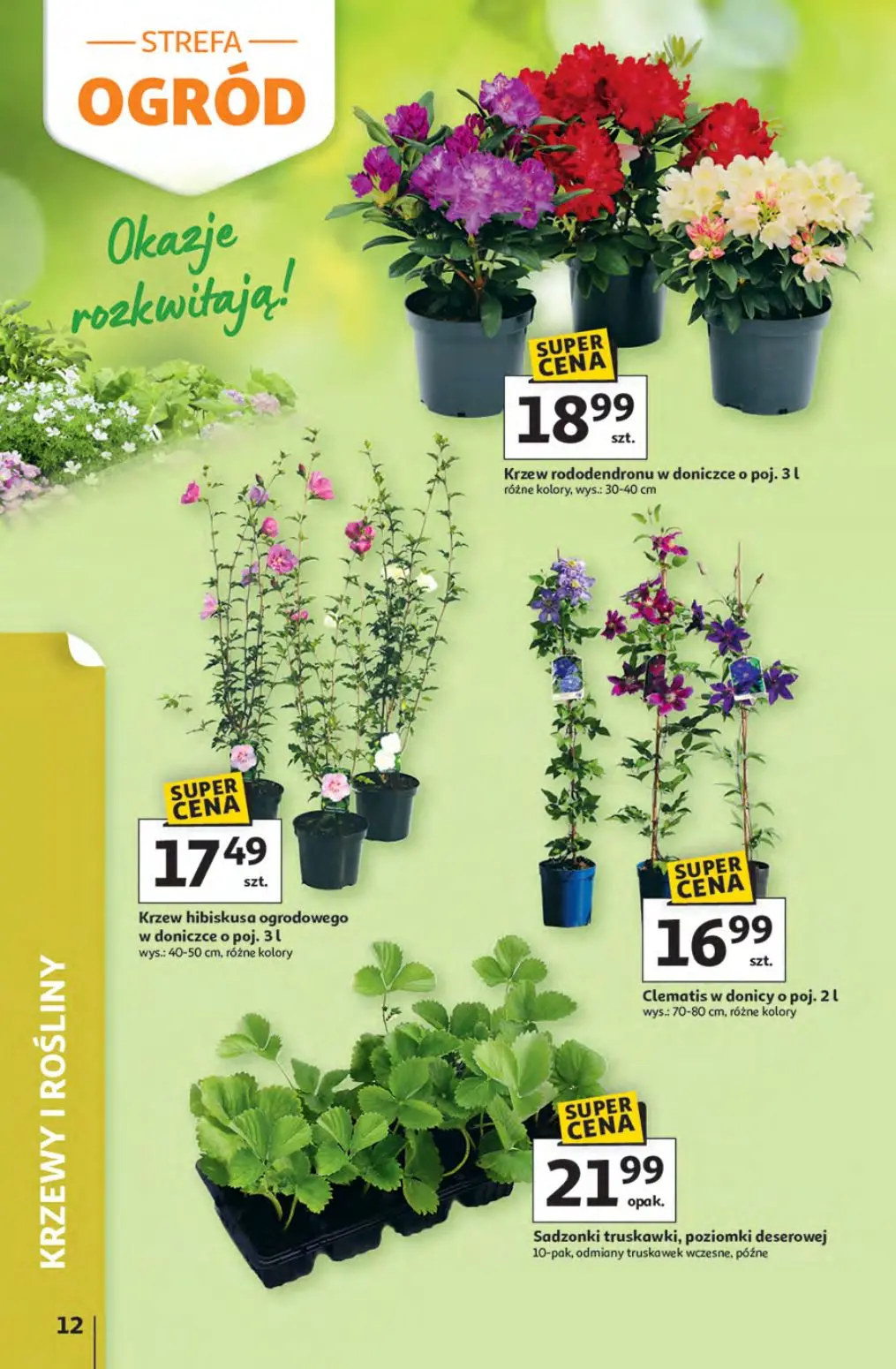 gazetka promocyjna Auchan Strefa relaksu - Strona 12