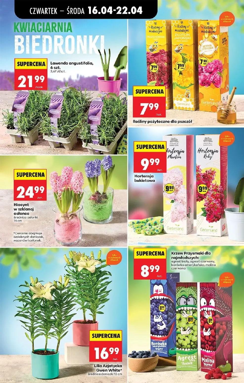 gazetka promocyjna Biedronka Od czwartku - Strona 43