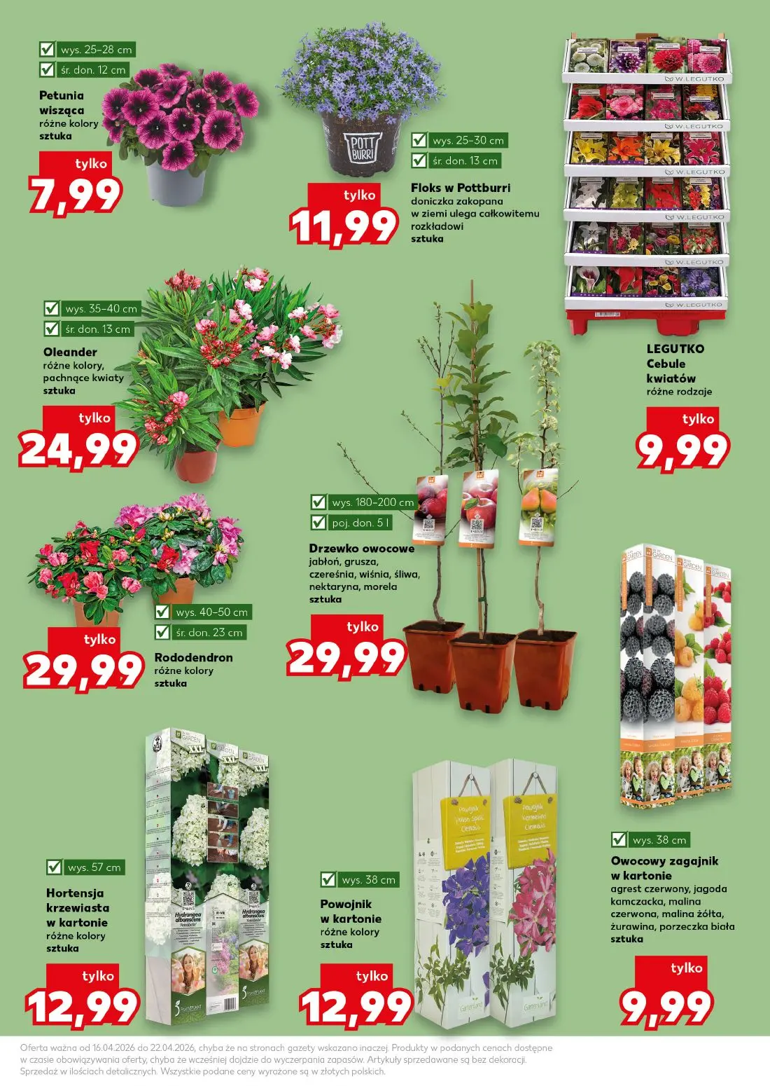 gazetka promocyjna Kaufland Ogrodowe inspiracje - Strona 11