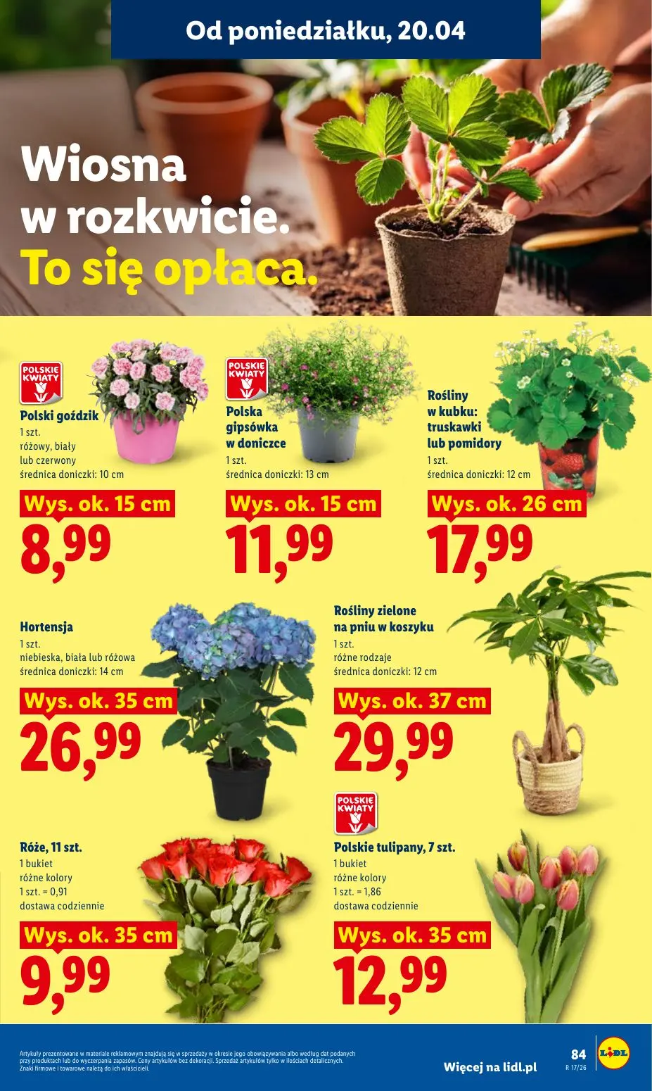 gazetka promocyjna LIDL Od poniedziałku - Strona 87