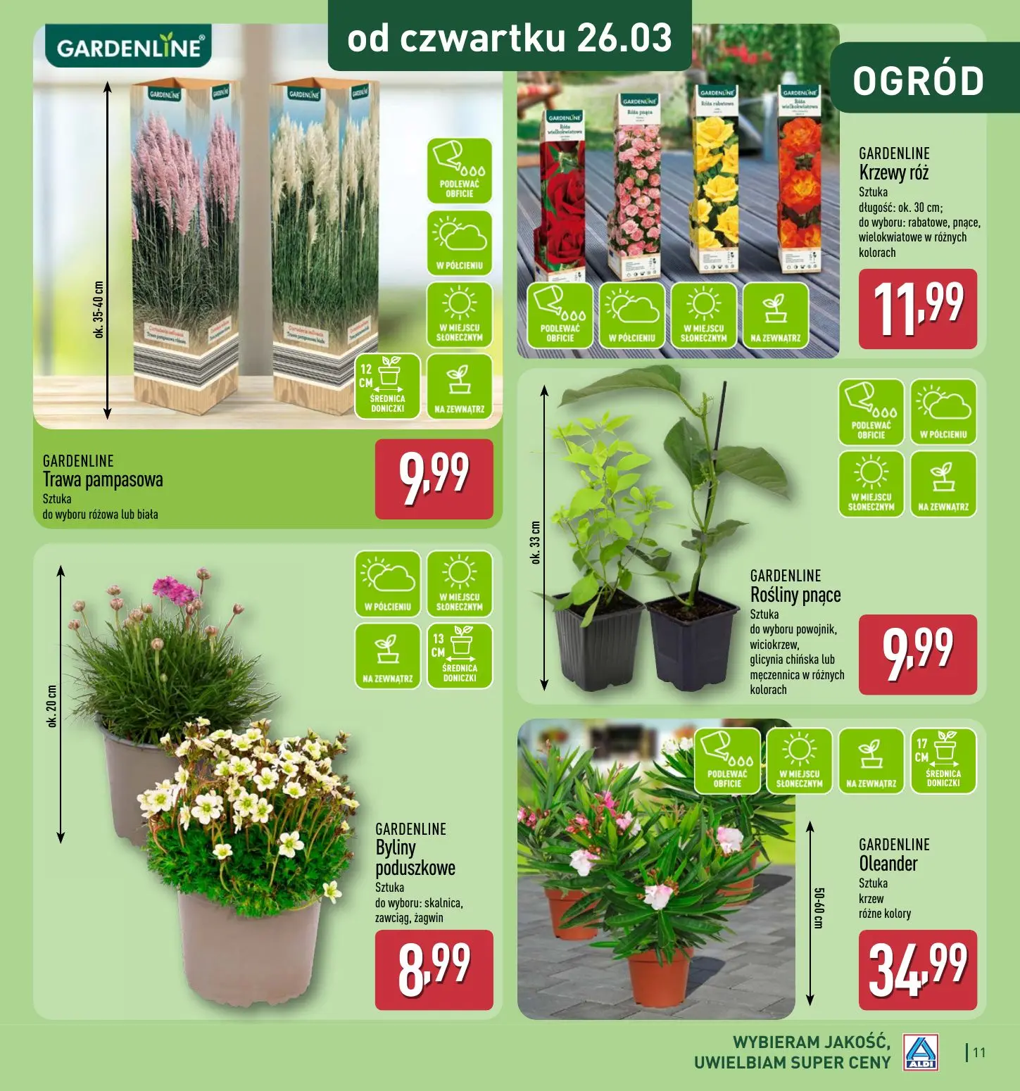 gazetka promocyjna ALDI Katalog ogrodowy 🌻 - Strona 11