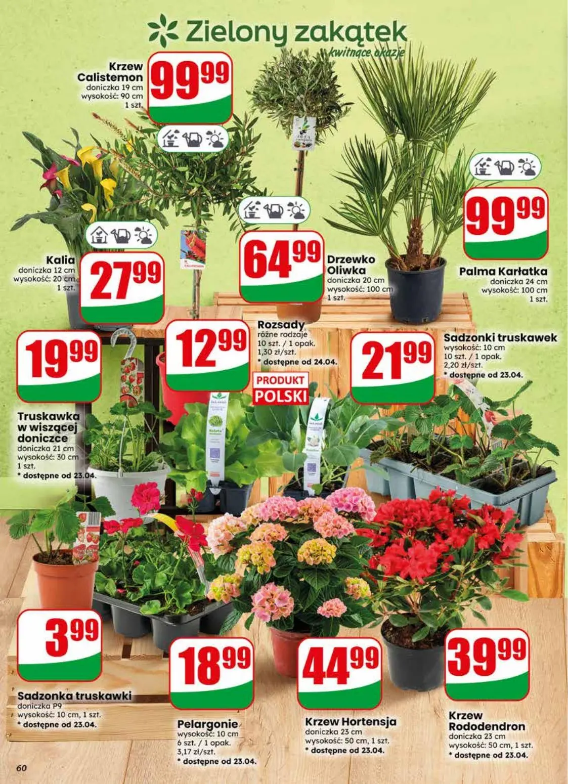 gazetka promocyjna dino Najbliżej Ciebie - Strona 60