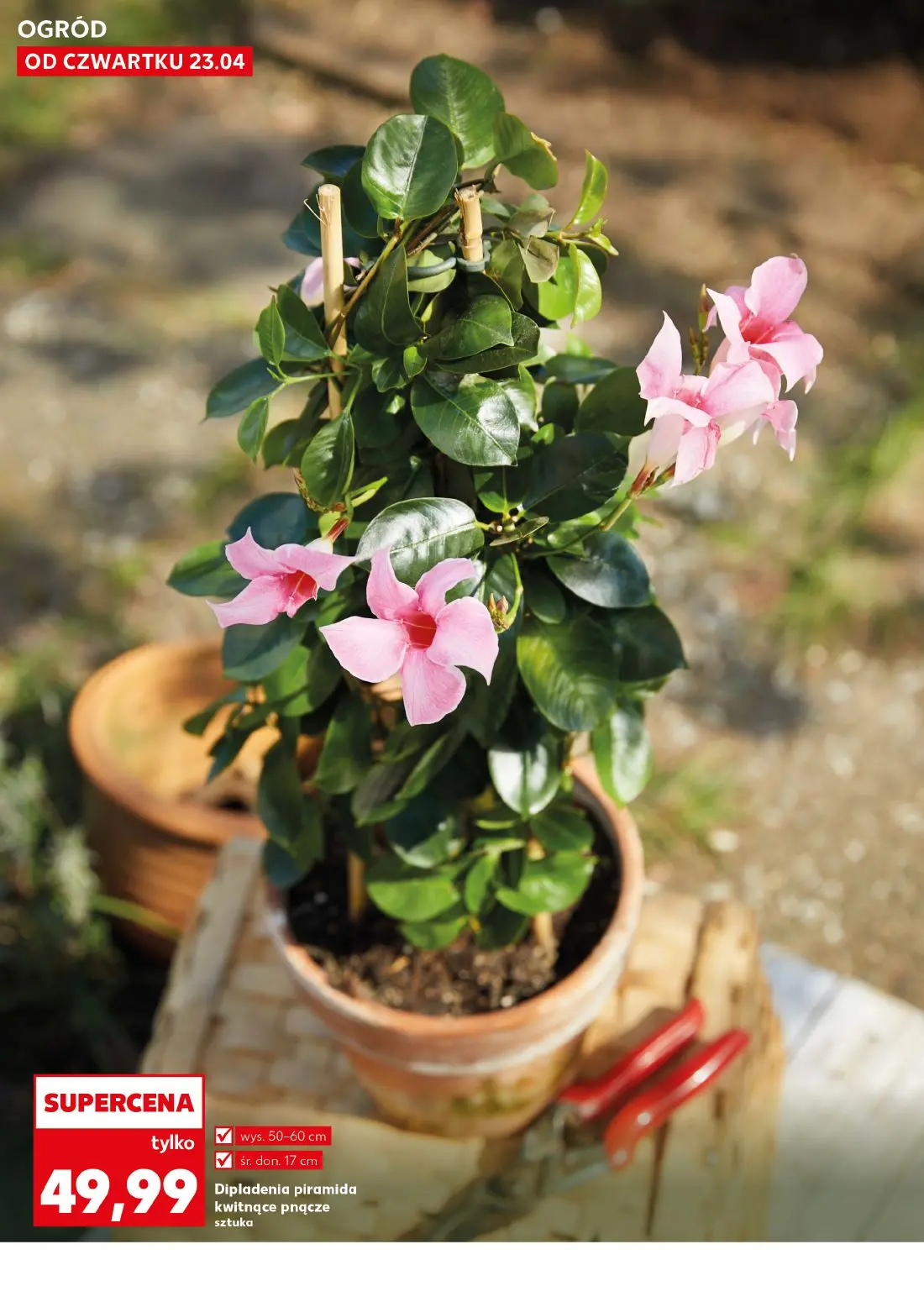 gazetka promocyjna Kaufland Wiosenne inspiracje - Strona 10