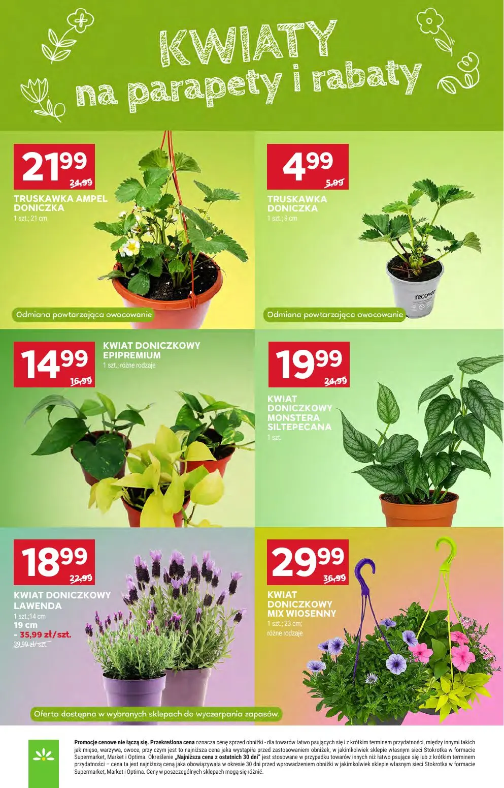 gazetka promocyjna Stokrotka Market Od czwartku - Strona 39