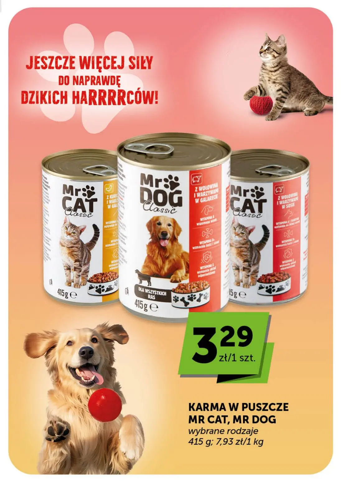 gazetka promocyjna Euro Sklep Market - Strona 21