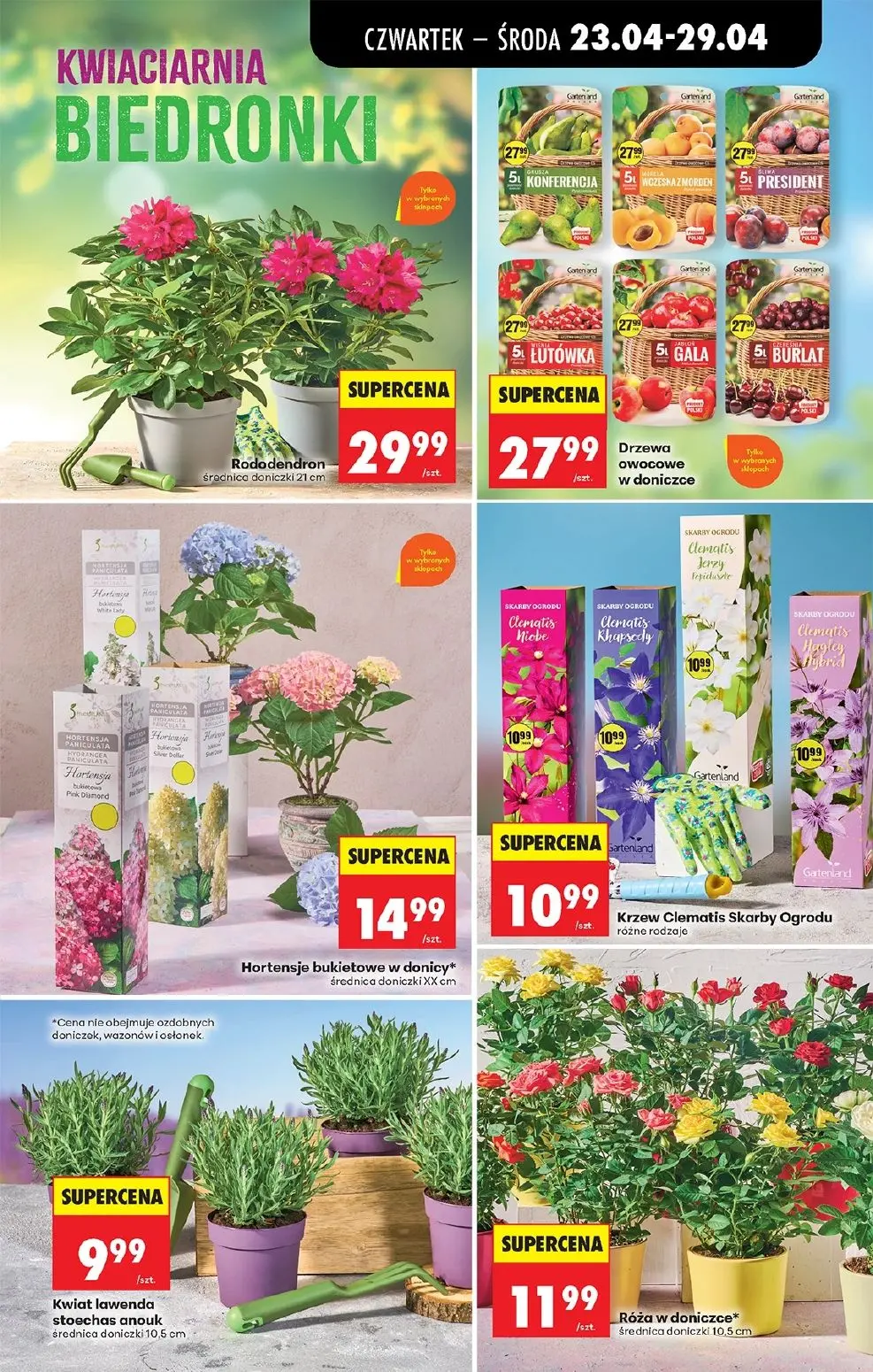 gazetka promocyjna Biedronka Lada tradycyjna. Od czwartku - Strona 92