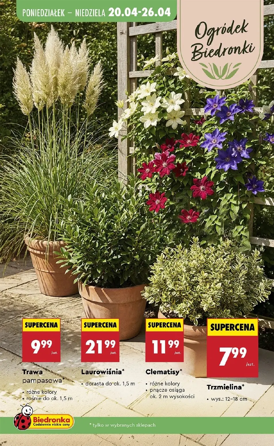 gazetka promocyjna Biedronka Od czwartku - Strona 89