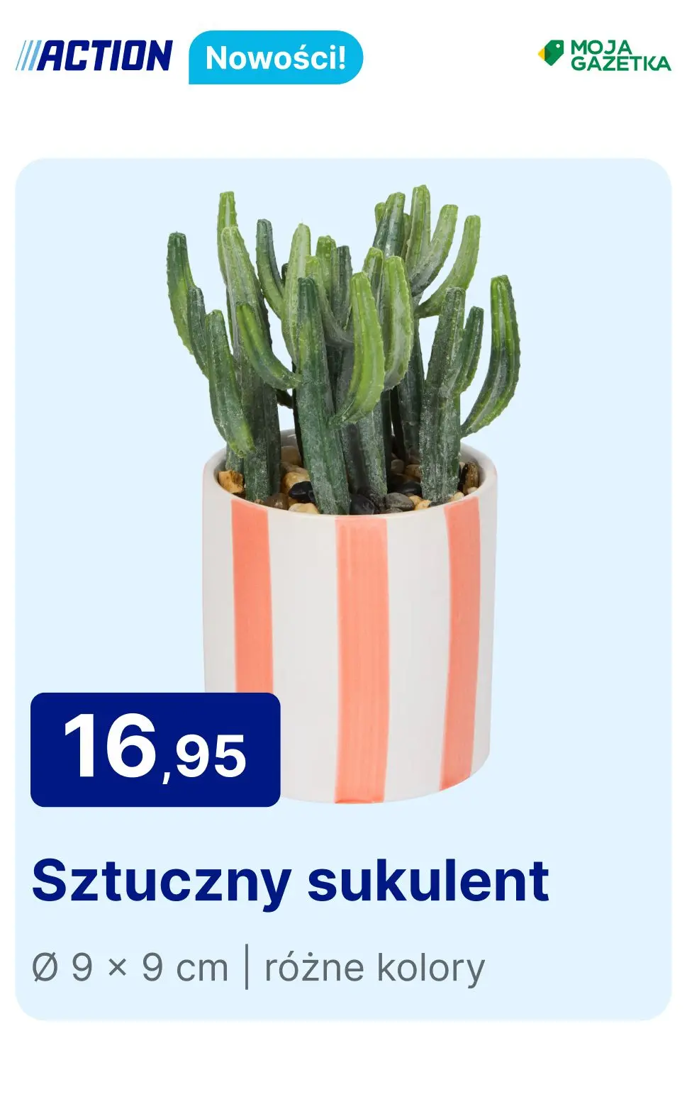 gazetka promocyjna Action Nowości - Strona 25