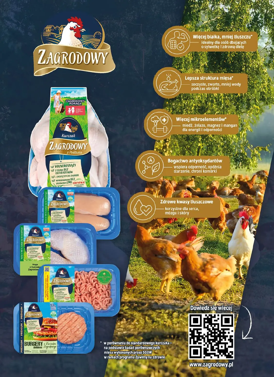 gazetka promocyjna Jan Ogólna - Strona 2