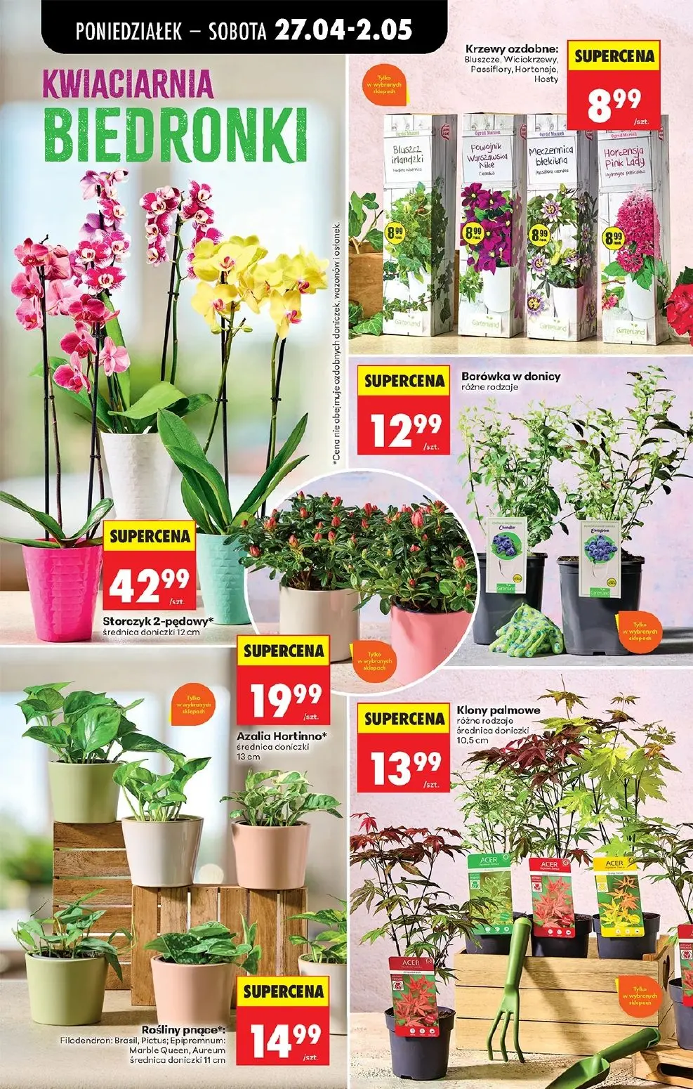 gazetka promocyjna Biedronka Lada tradycyjna. Od poniedziałku - Strona 88